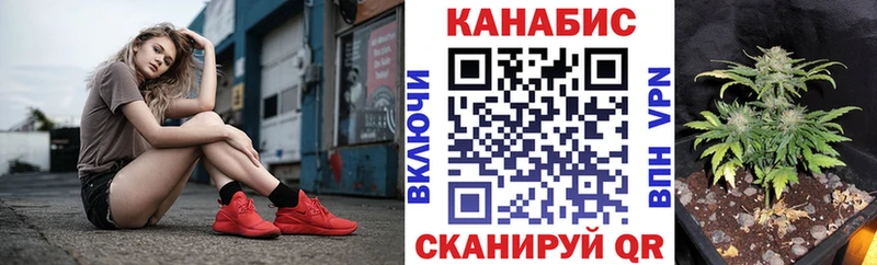 Названия наркотиков Видное Гашиш  Псилоцибиновые грибы  A-PVP  Меф  Кокаин  Каннабис 