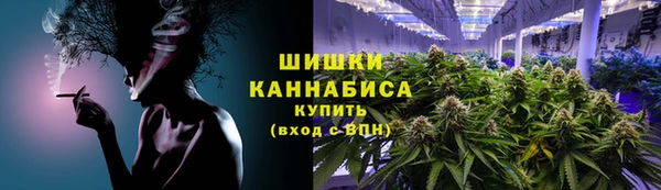 ECSTASY Богородск
