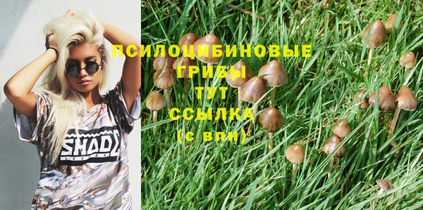 ECSTASY Богородск