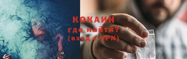 хмурый Белокуриха