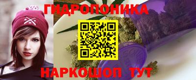 ECSTASY Сертолово
