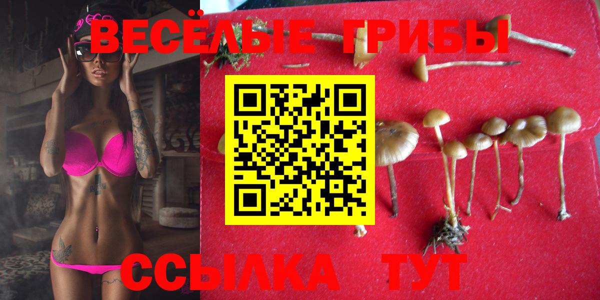 как найти закладки  Вход с VPN  Видное  Галлюциногенные грибы Magic Shrooms 